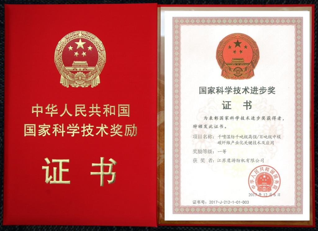 國家科學(xué)技術(shù)進步一等獎