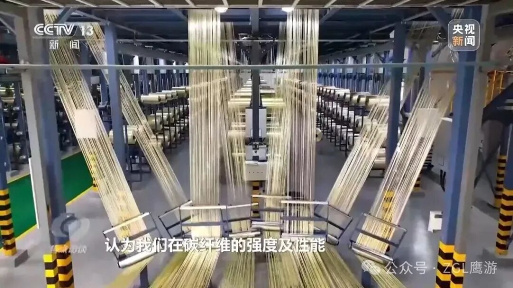 央視《焦點訪談》專題報道！解碼這束“黑色黃金”的培育路徑